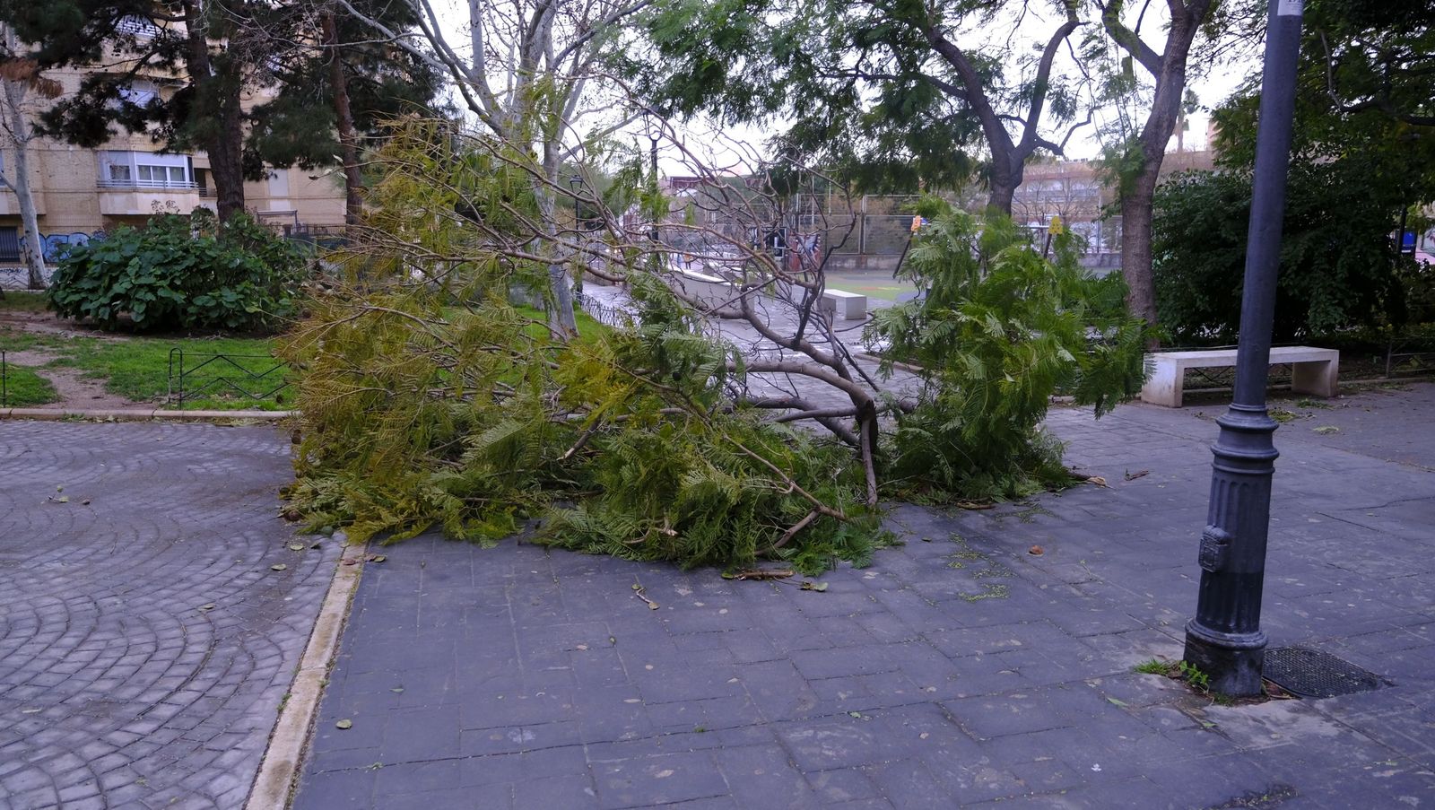 La Borrasca Leonardo se ensaña con Almería, en imágenes