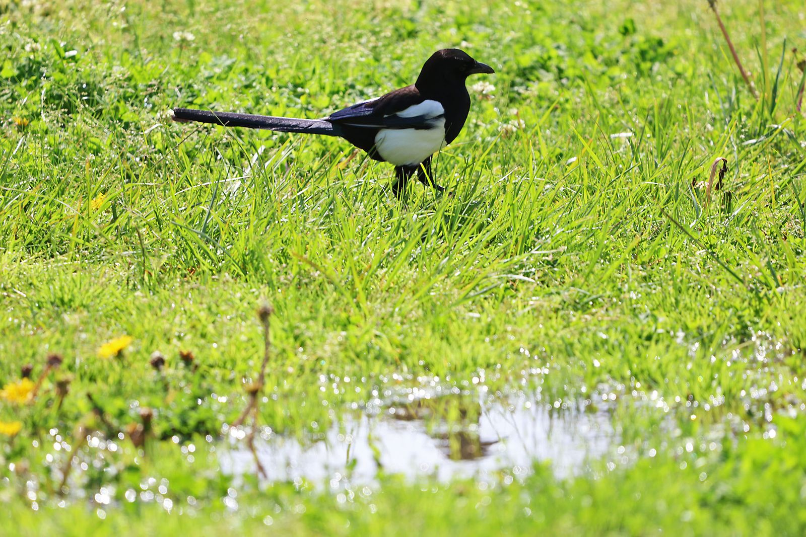 Las imágenes más destacadas del jueves 13 de marzo en Huelva