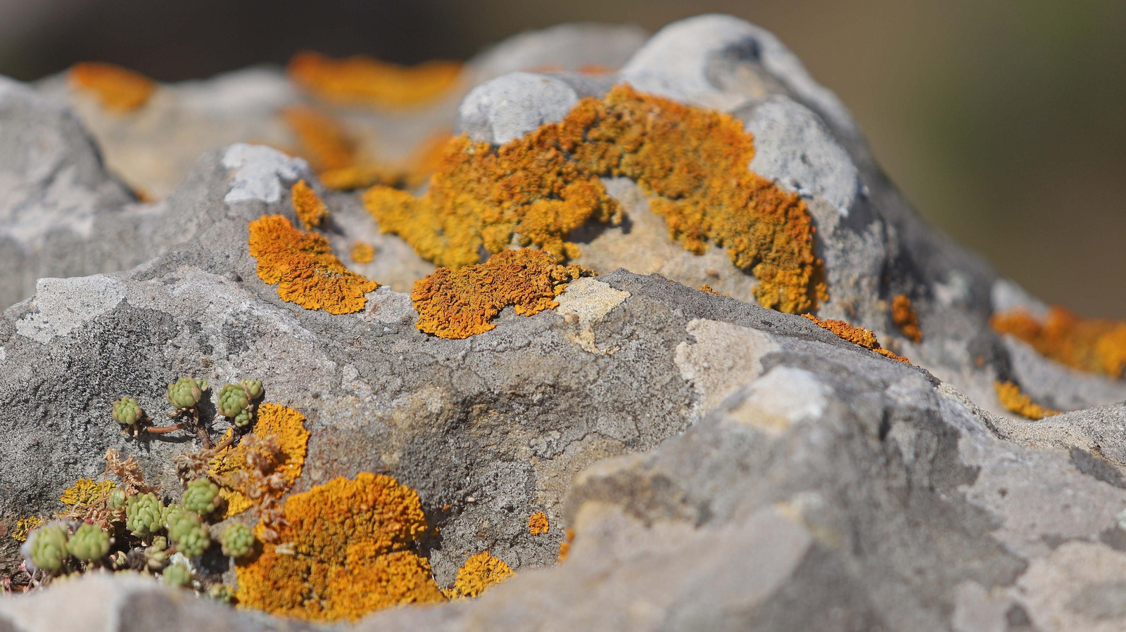 Las mejores fotos de la Montera del Torero y Valdeinfierno