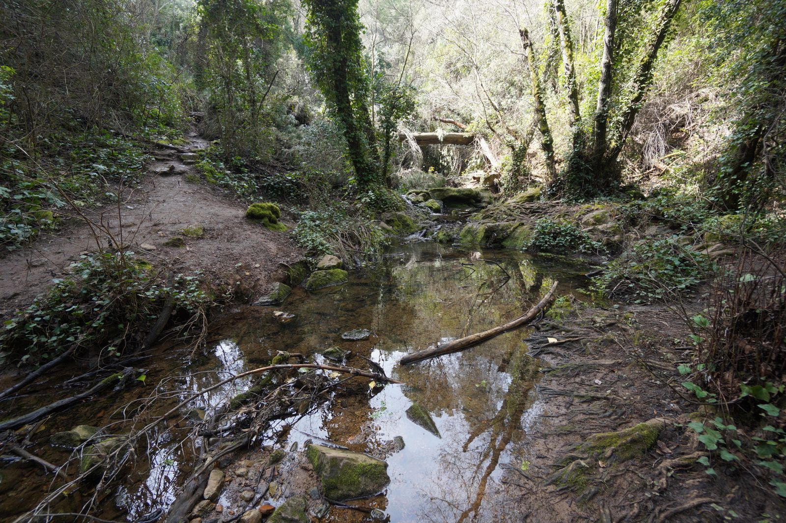 Una ruta por los Baños de Popea en Córdoba, en fotografías