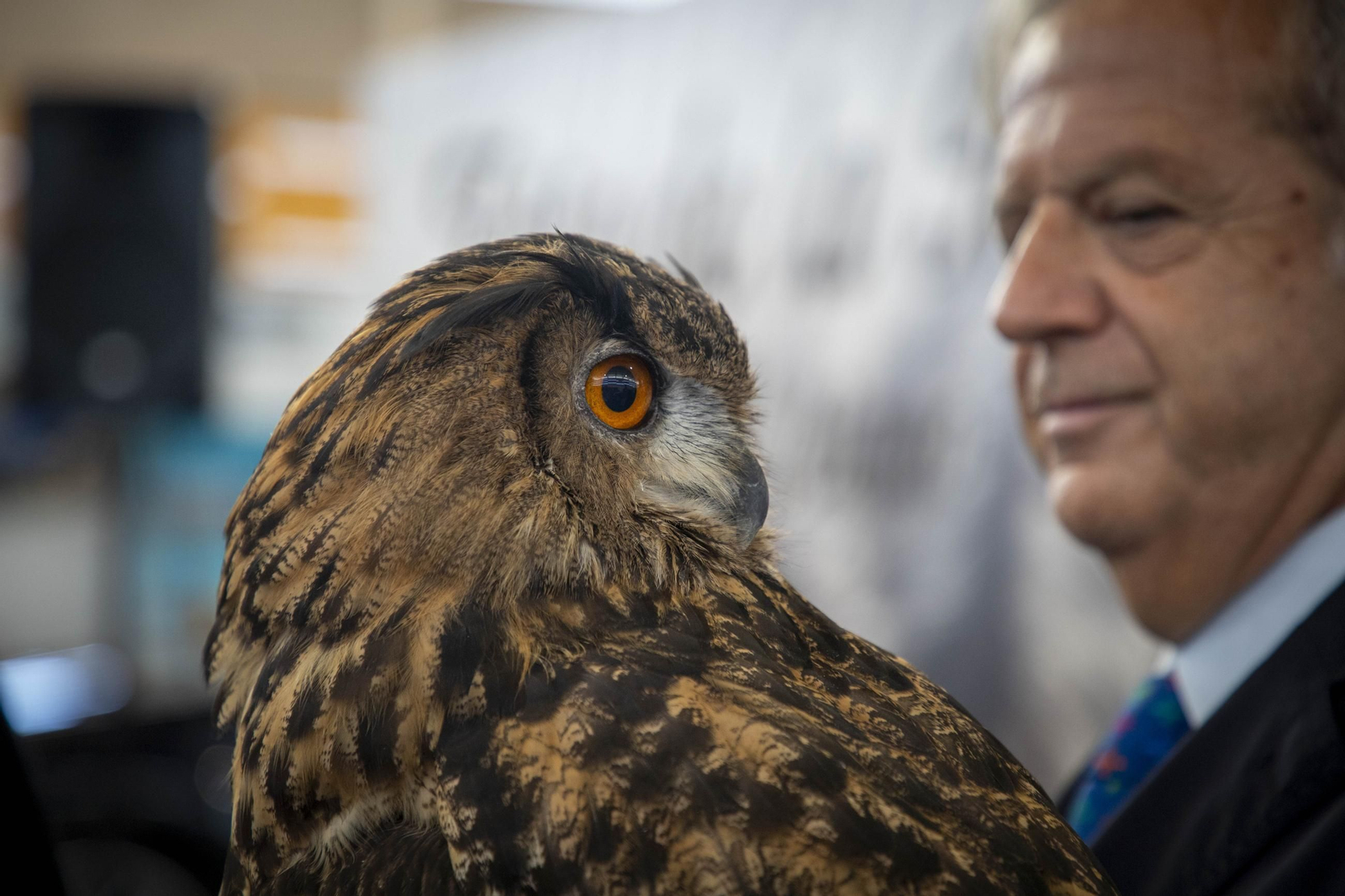 Un recorrido en imágenes por la IV Feria de la Montería de Obejo
