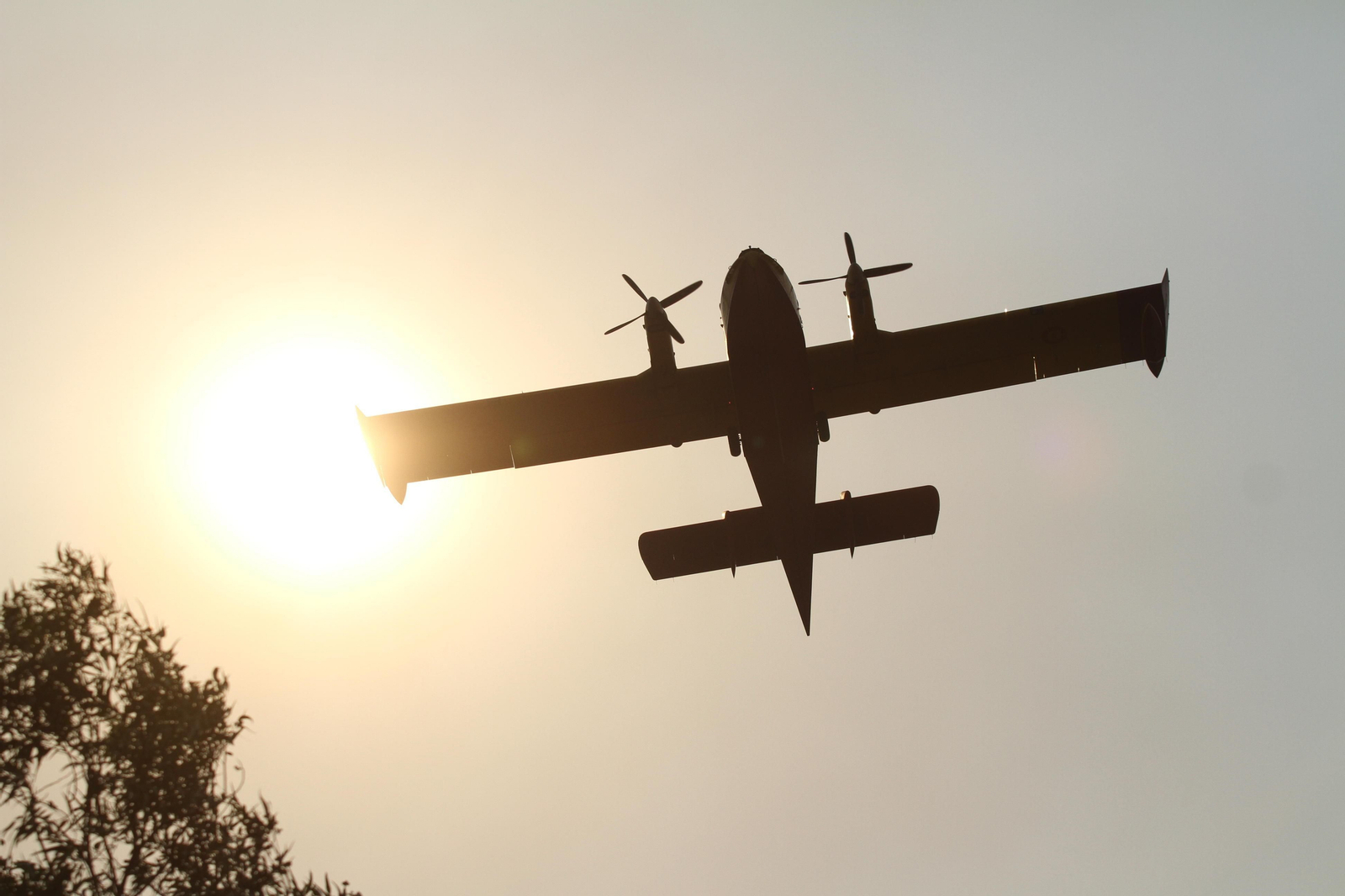 Las imágenes del incendio en Moguer y Mazagón