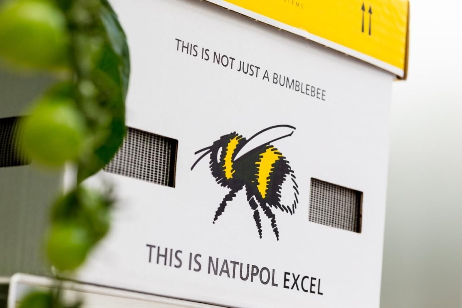 Colmena Natupol Excel, producida por Koppert.