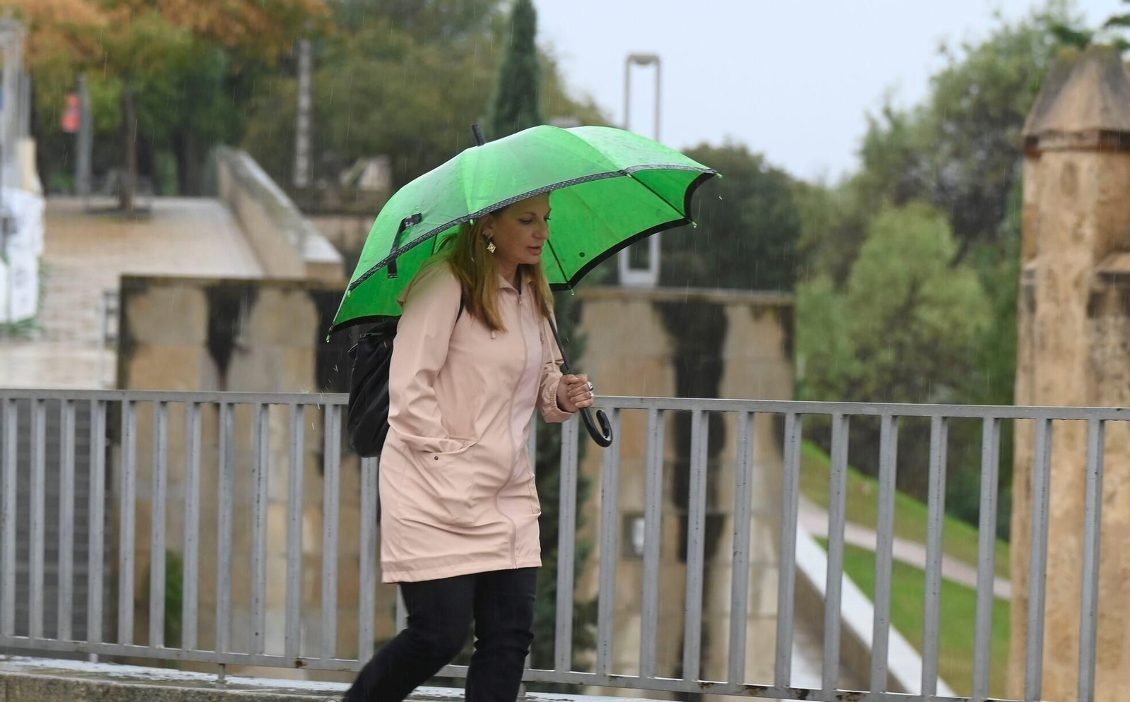 El paso de la borrasca Claudia por Córdoba en imágenes