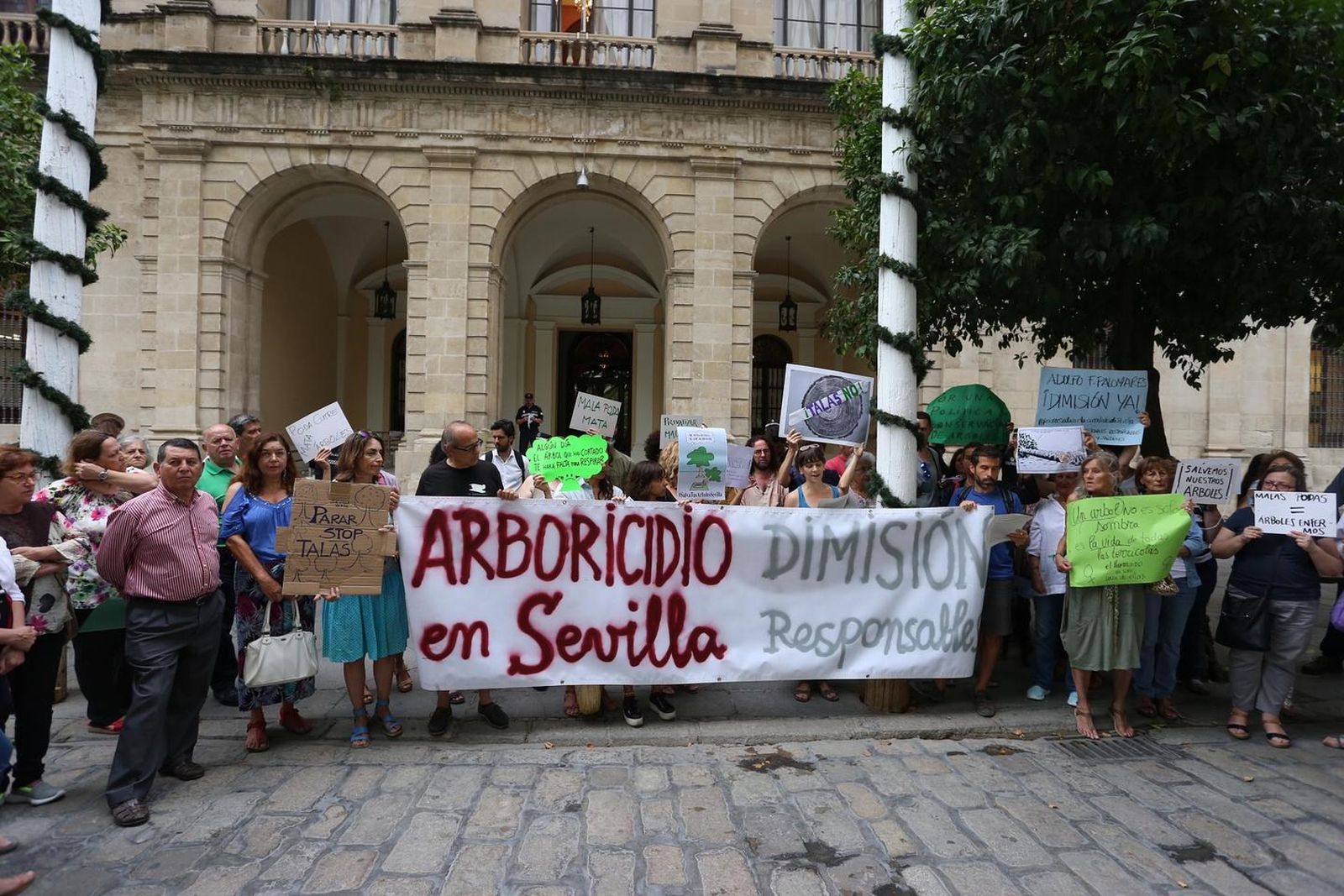 Protesta en la Plaza Nueva contra la tala de árboles