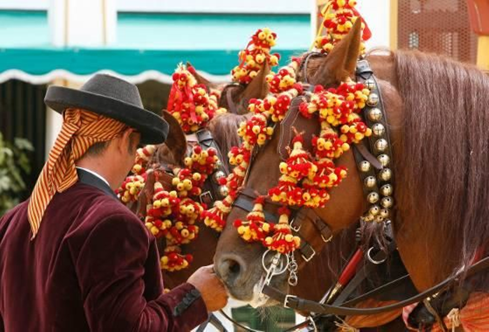 El cariño de un cochero a sus caballos
