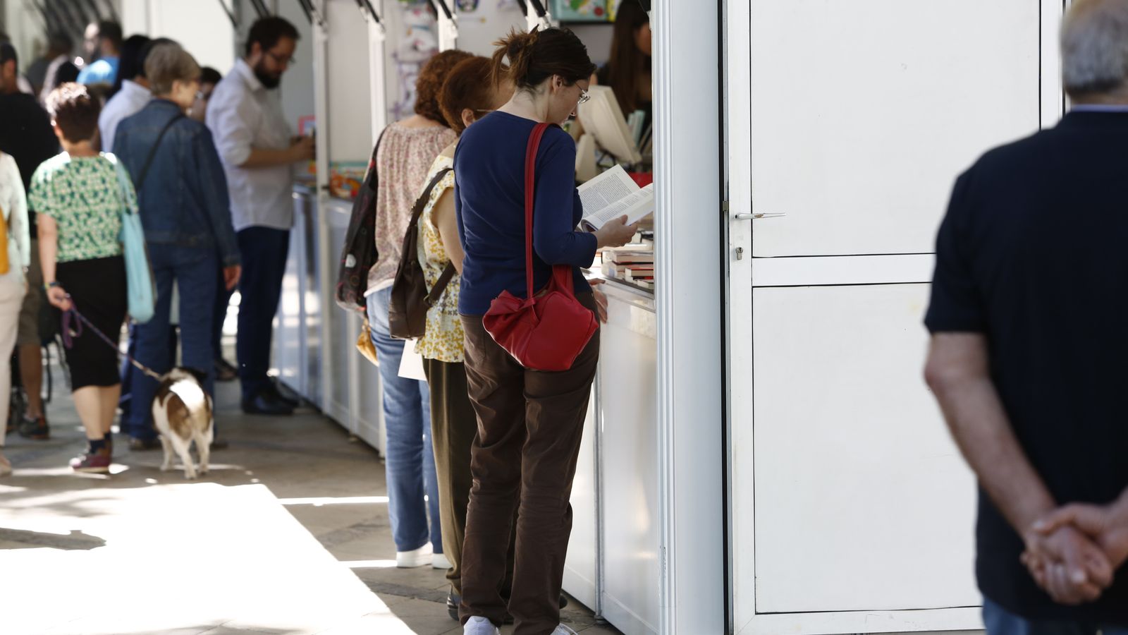 El número de visitantes ha descendido entre un 15% y un 20% este año.