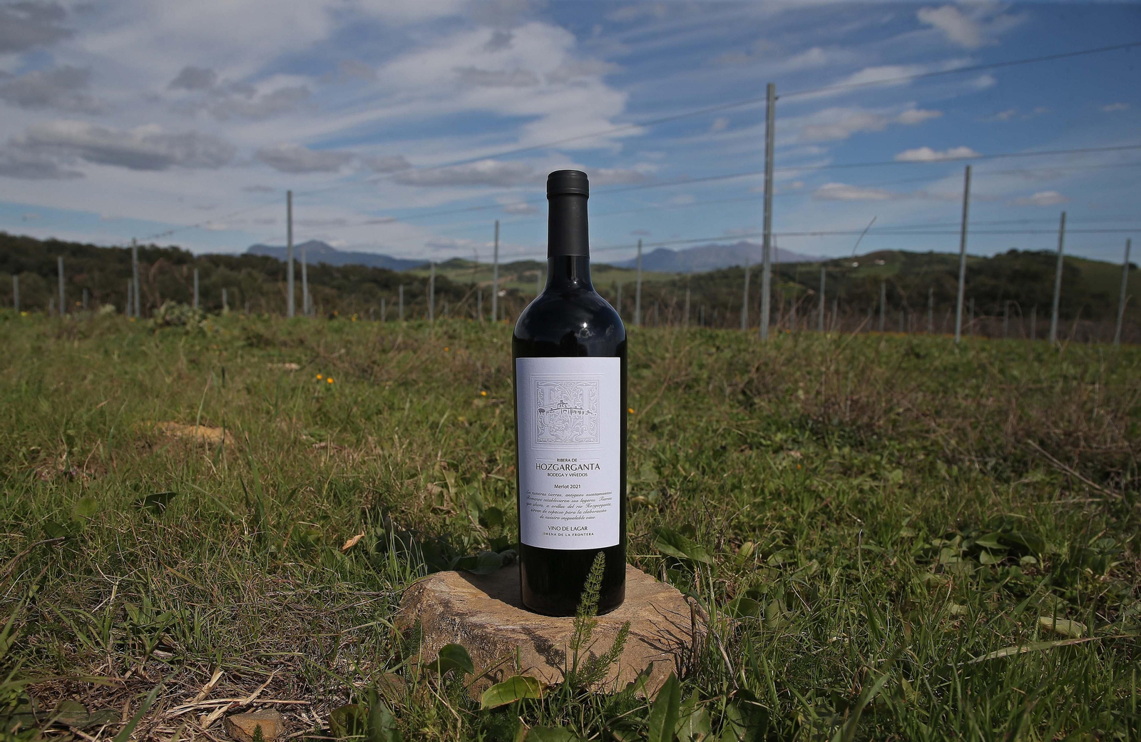 Fotos del lugar donde se produce Ribera de Hozgarganta, el primer vino del Campo de Gibraltar