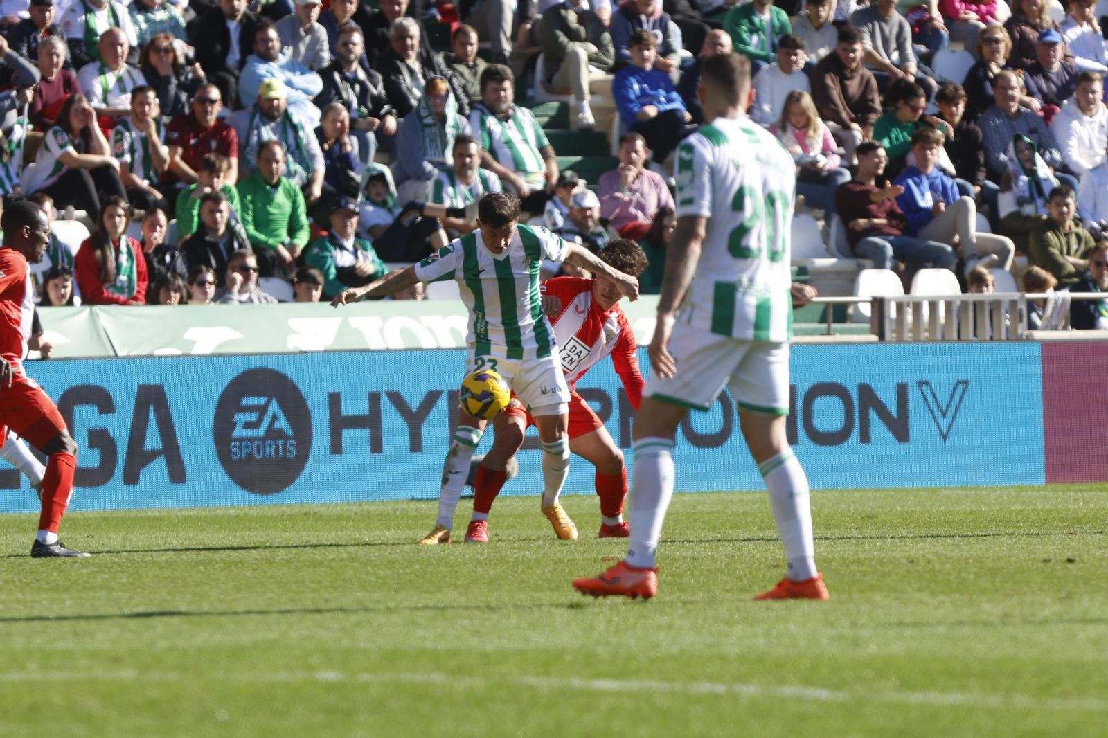 Las mejores fotos del ambiente en el Córdoba CF - Almería en El Arcángel