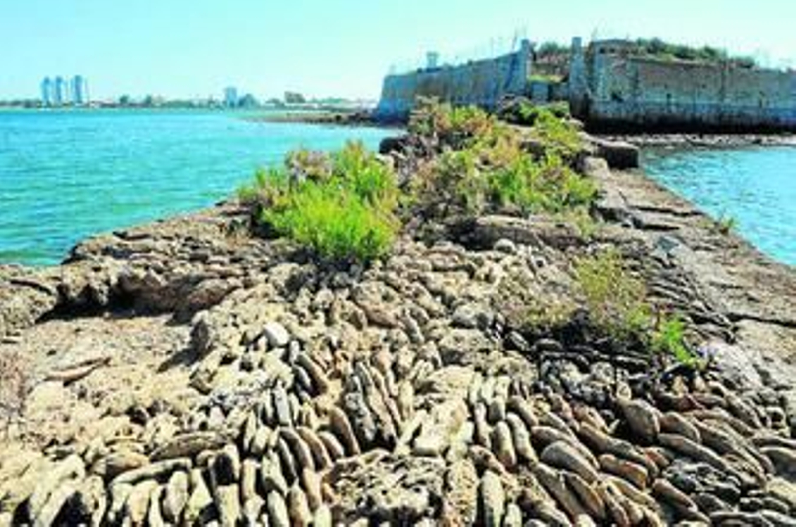 Uno de los espacios naturales más llamativos de Punta Cantera.