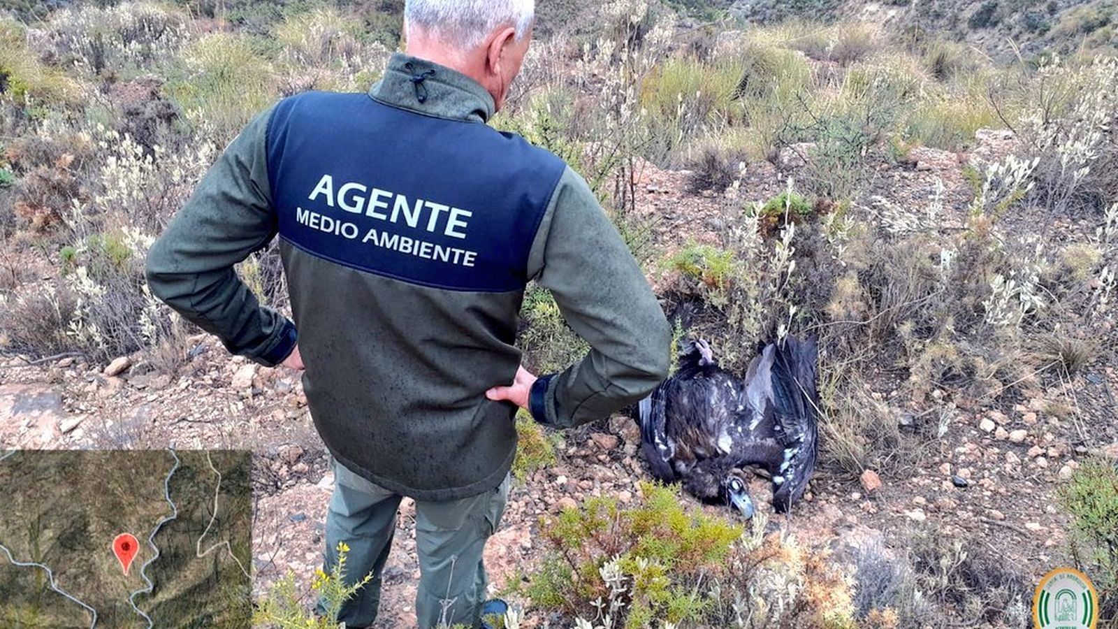 Fauna fue encontrado en Felix.