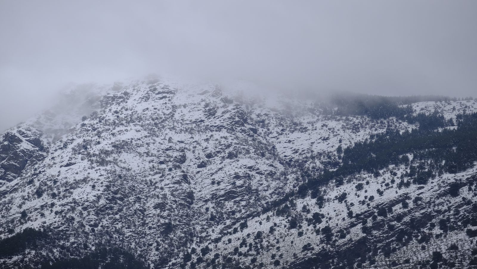 Imágenes del temporal de nieve en la provincia de Almería.