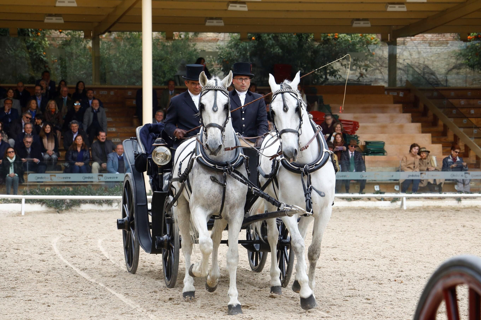 La exhibición de enganches en Caballerizas Reales de Córdoba, en imágenes