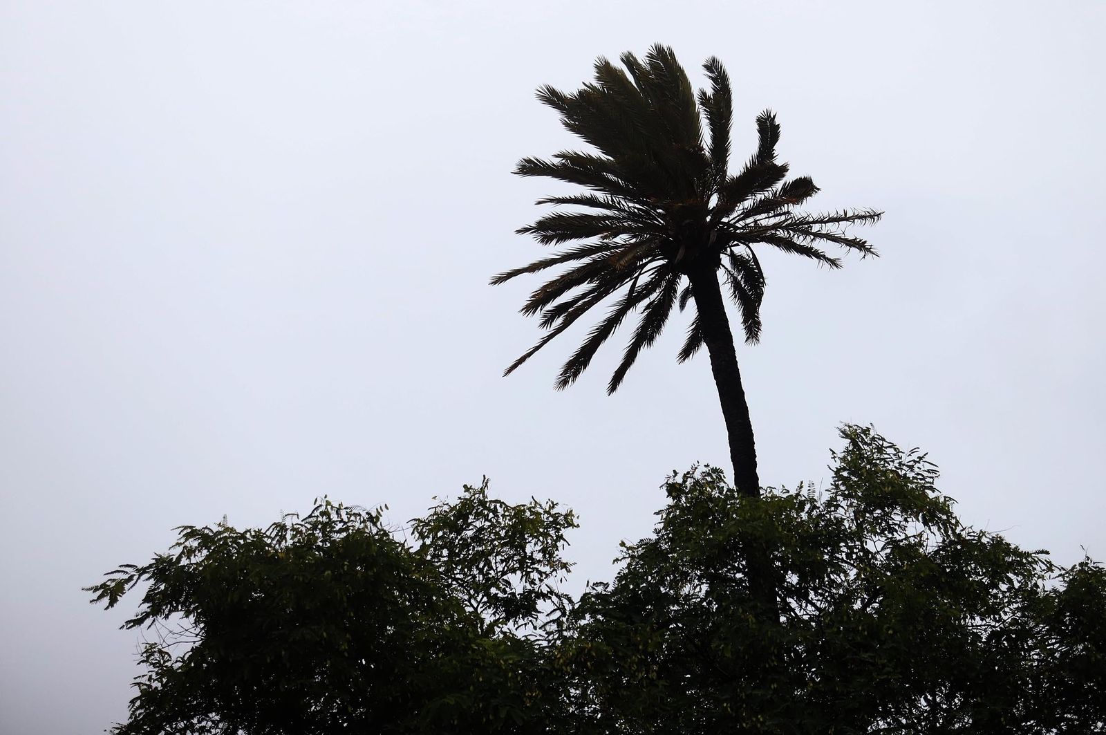 Imágenes del lunes 5 de diciembre en Huelva