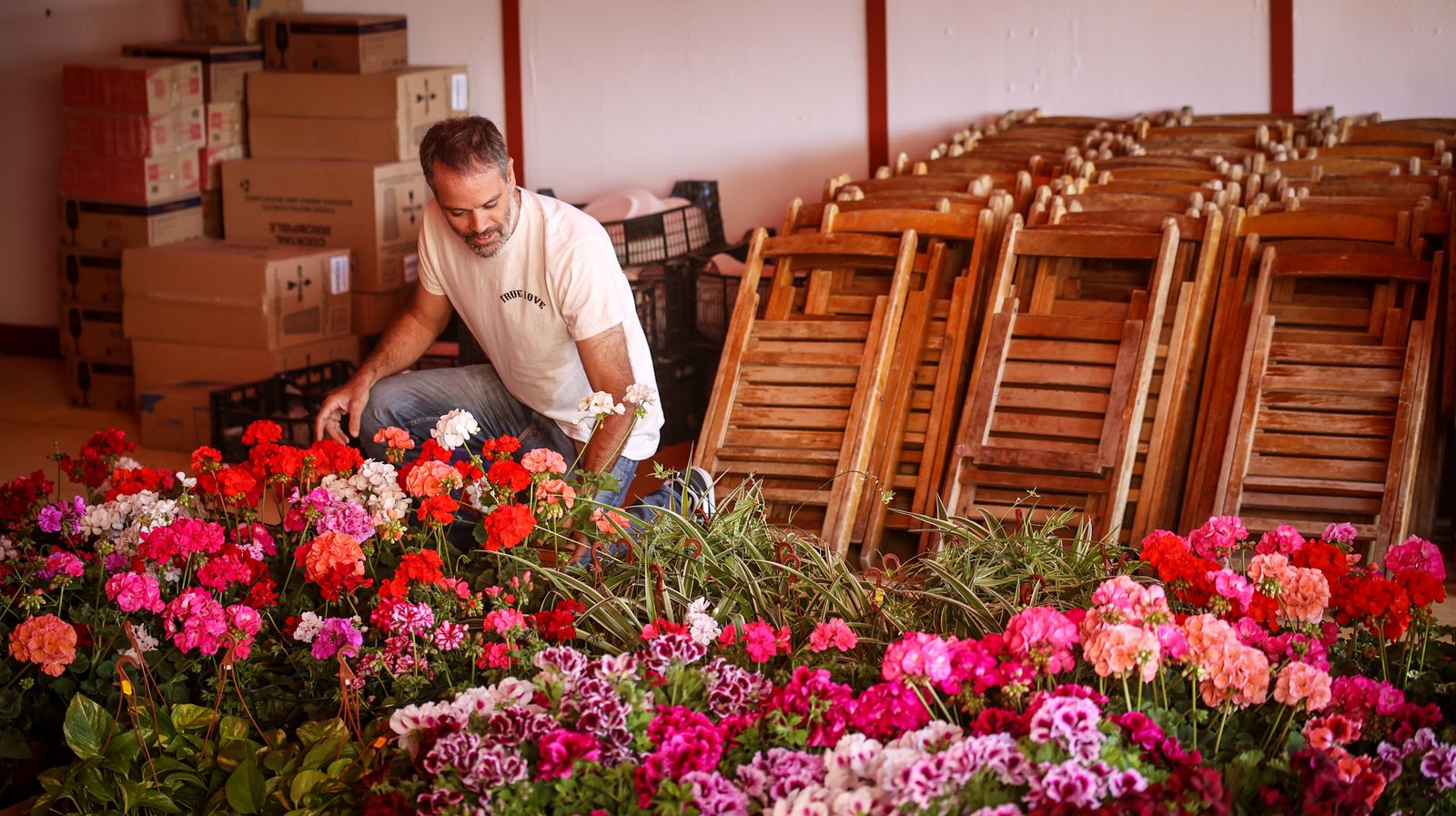 Imágenes de los preparativos para la Feria del Caballo 2024