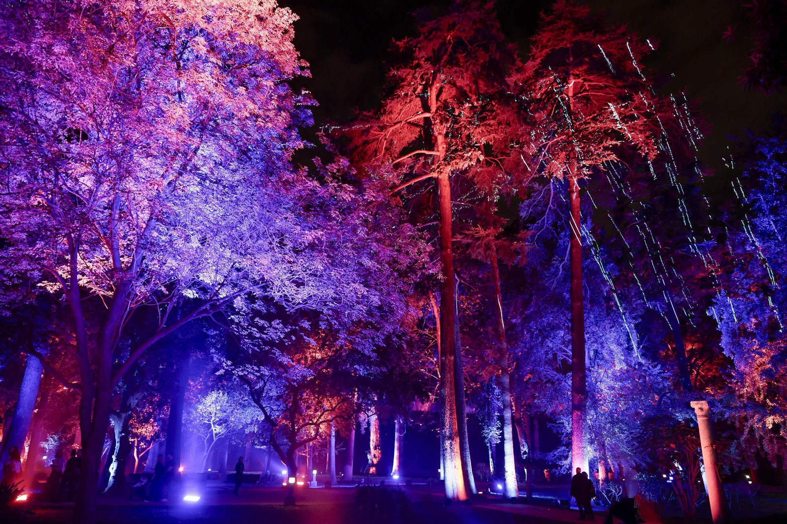 Las imágenes de un paseo por Naturaleza Encendida