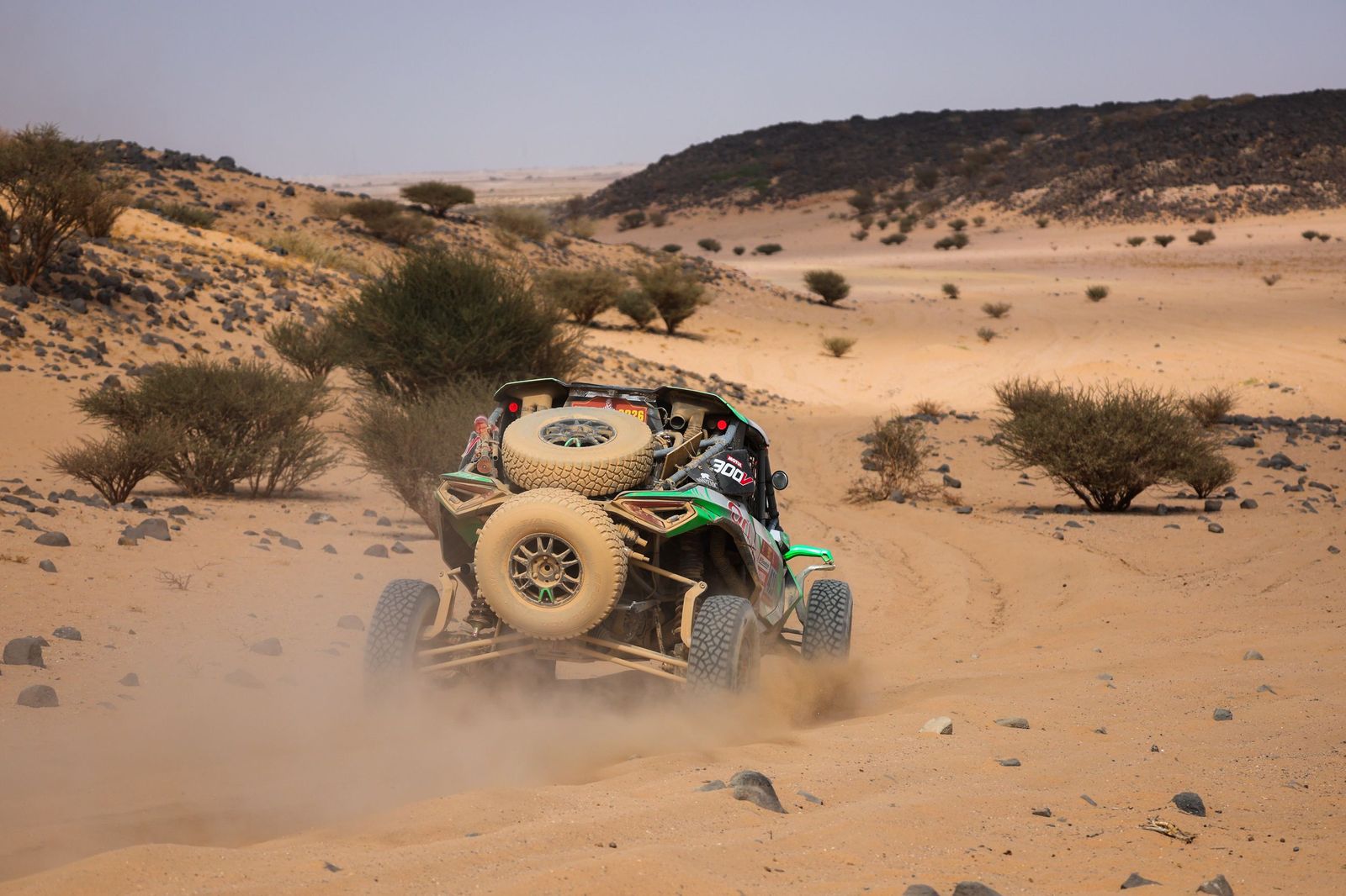 Las mejores fotos del Rally Dakar | undécima etapa