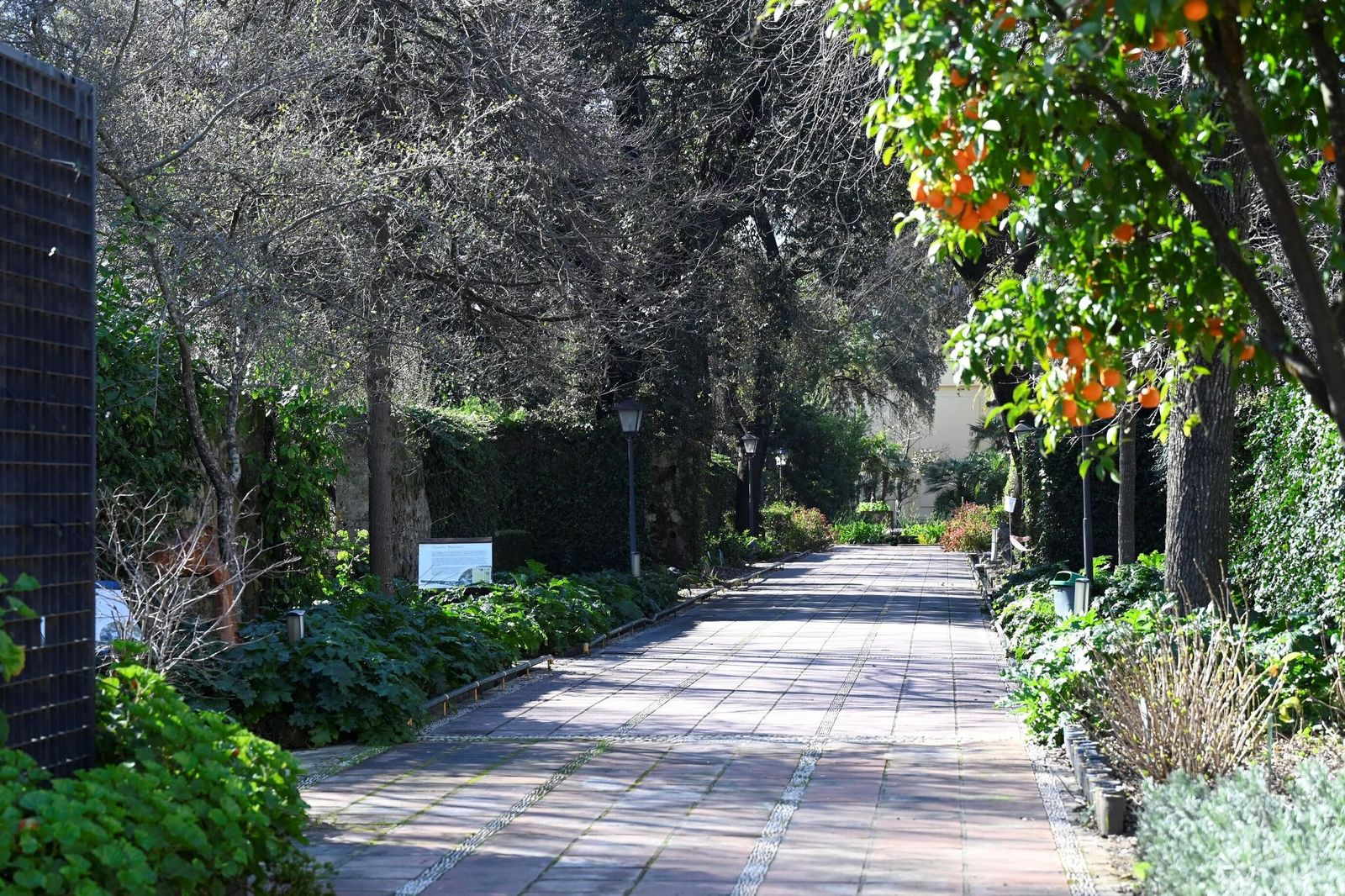 El Jardín Botánico de Córdoba reabre sus puertas tras subsanar los daños por el temporal