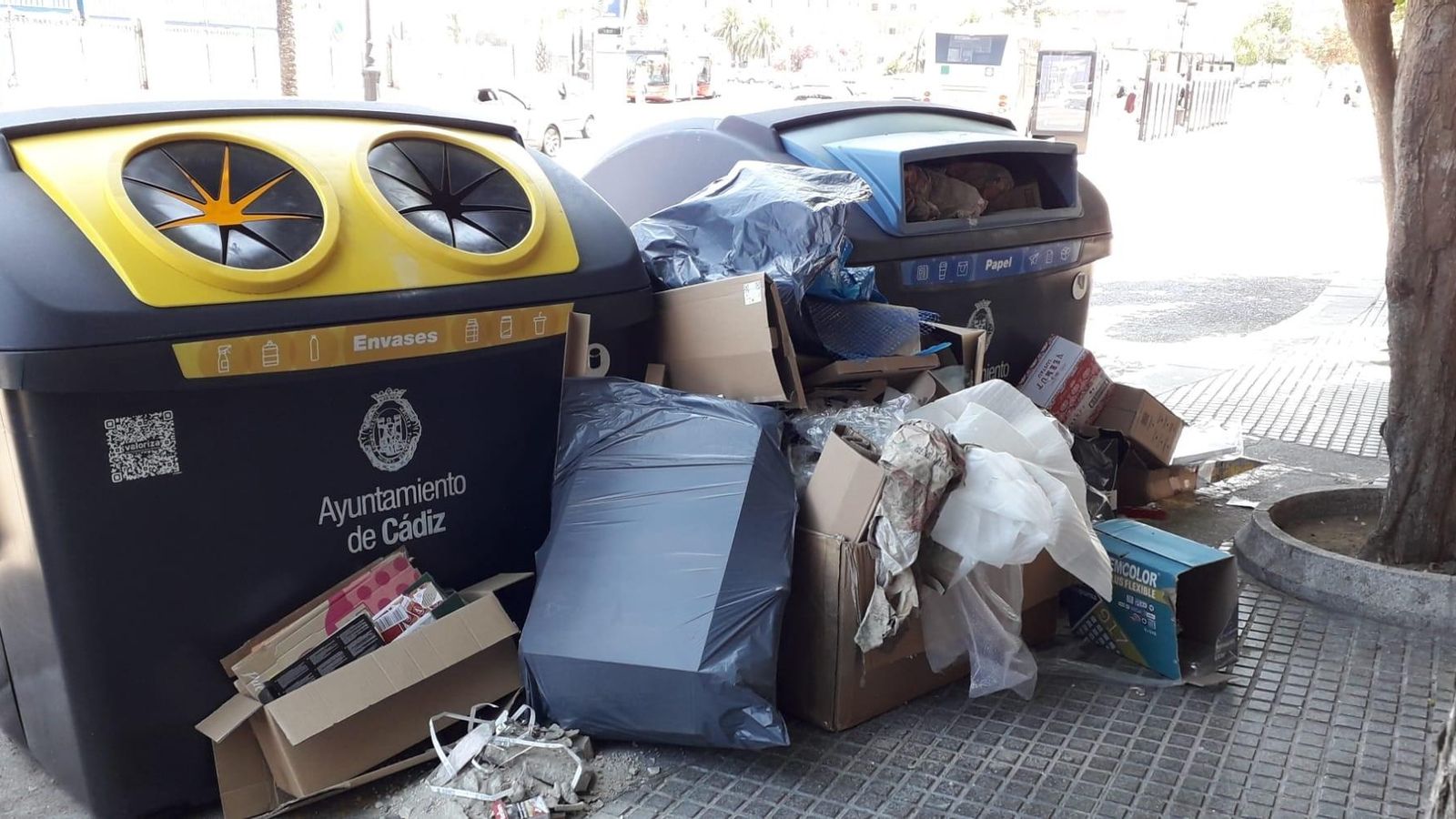 Basura fuera de los contenedores, una imagen muy habitual en muchas zonas de Cádiz como la céntrica Avenida del Puerto.