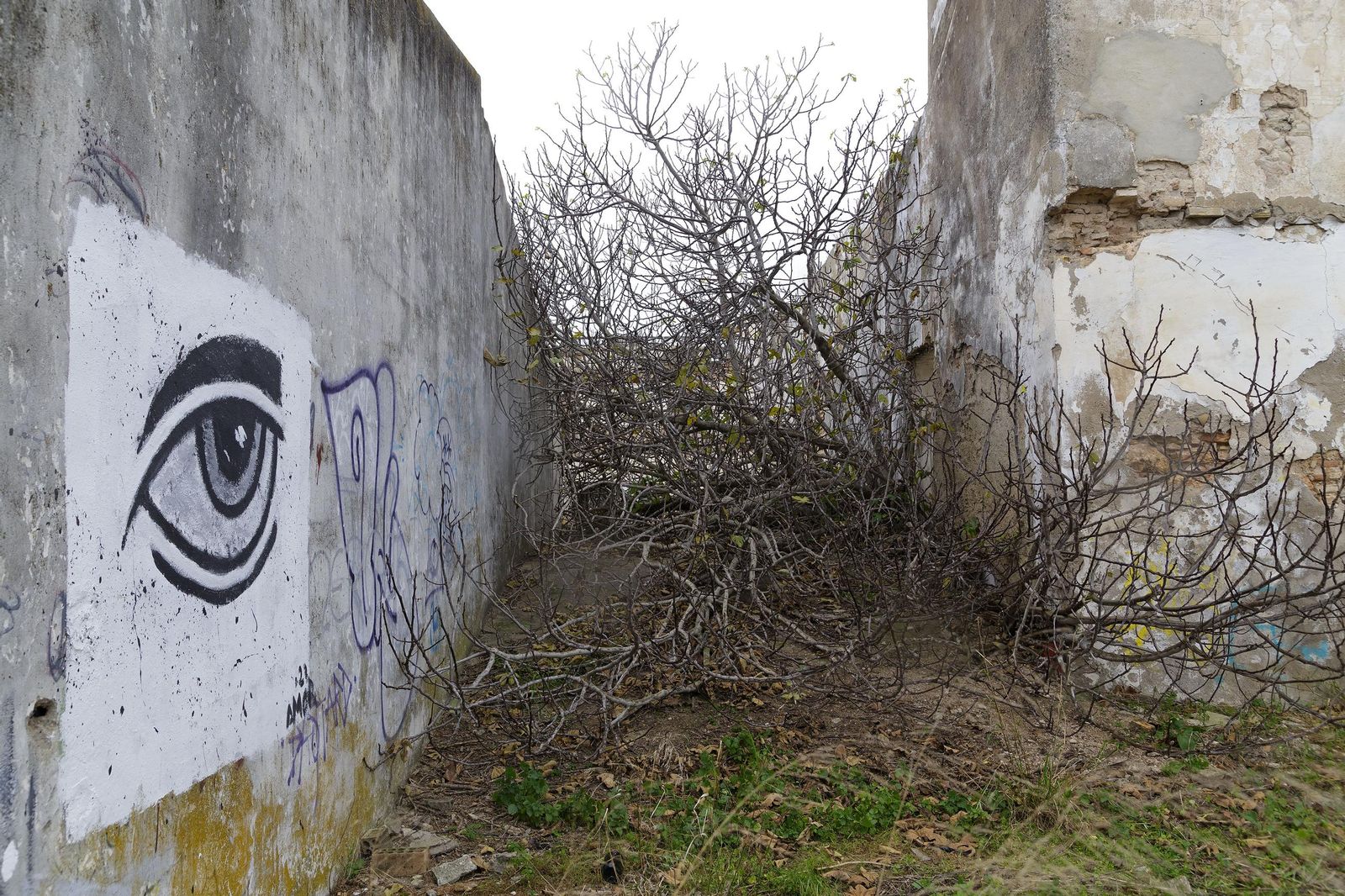 Las fotos del estado de la Hacienda El Rosario