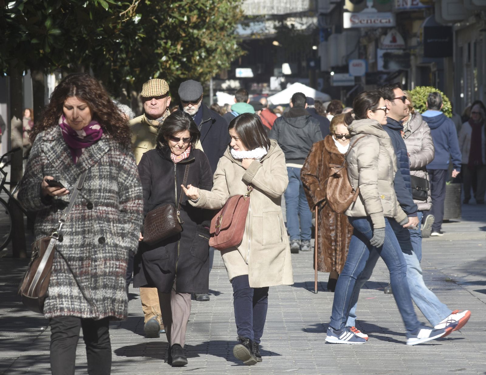 Grupo de ciudadanos pasea por la zona centro.