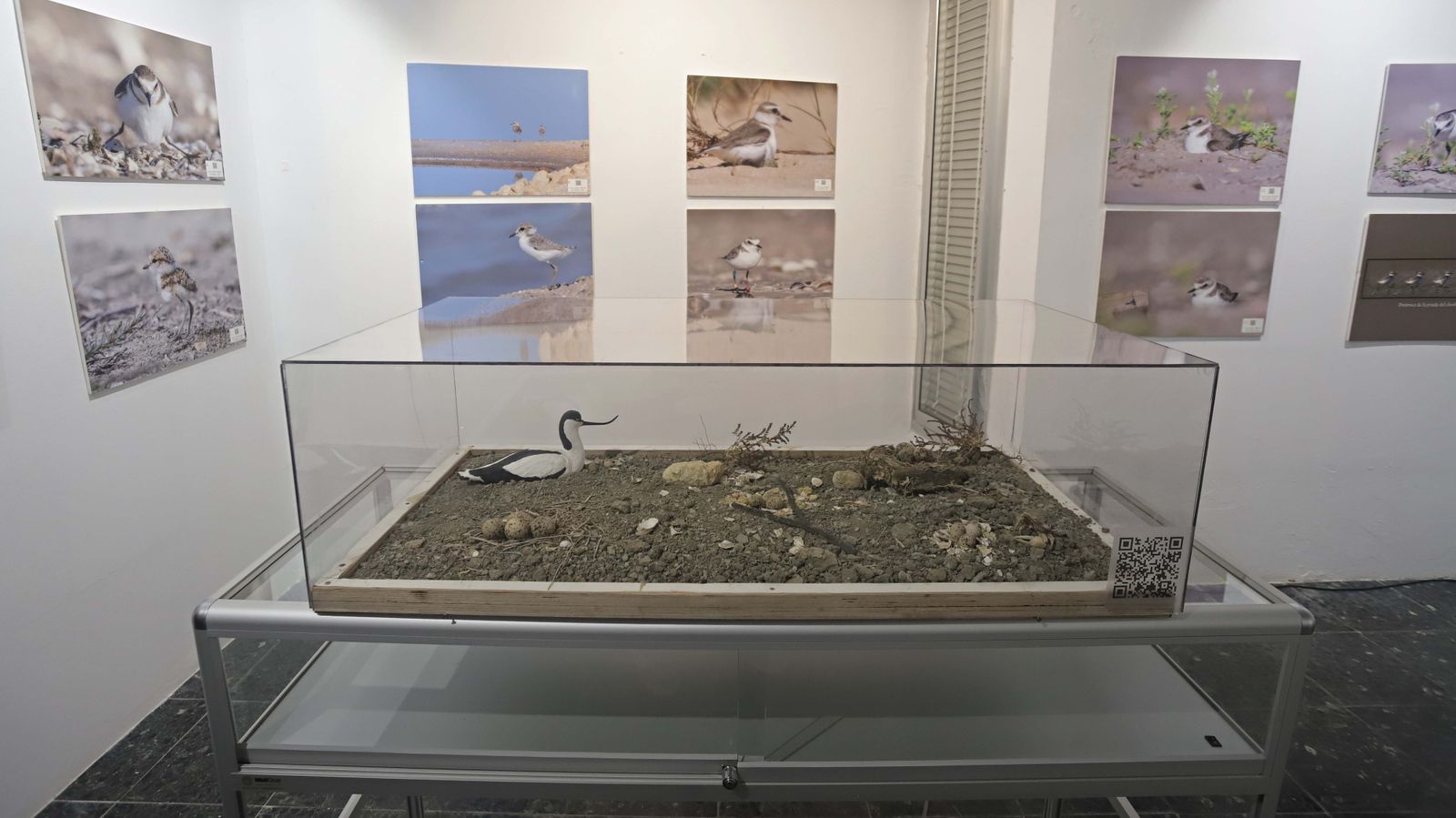 Fotos de las exposiciones de la Galería Manolo Ales en La Línea