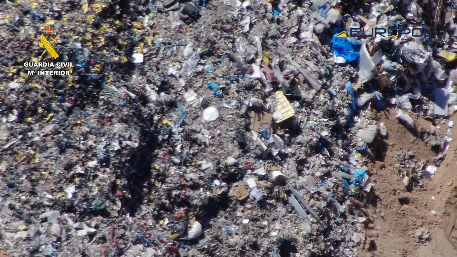 Operación Custos Viridis Seprona