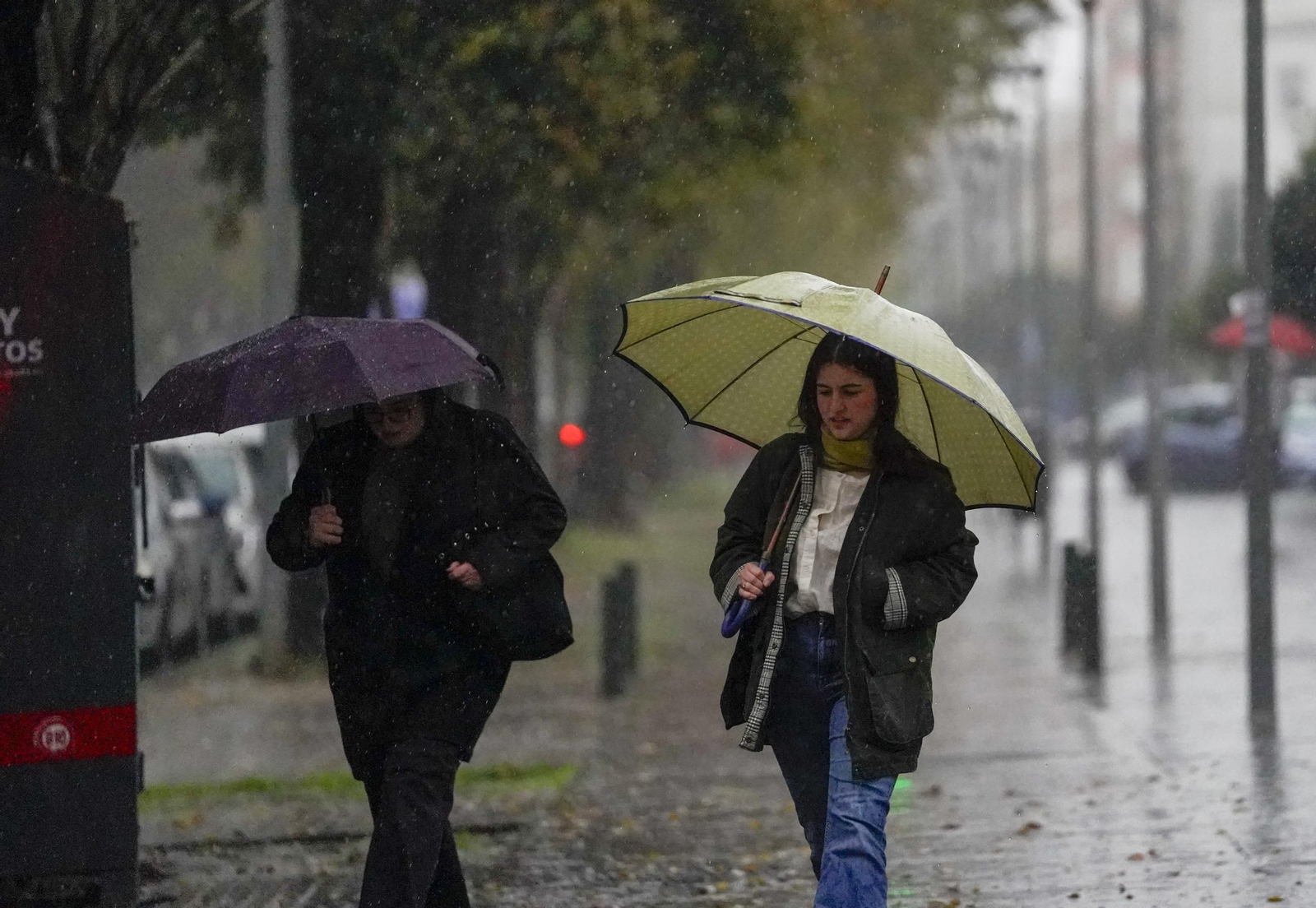 Viernes de lluvia intensa en Sevilla