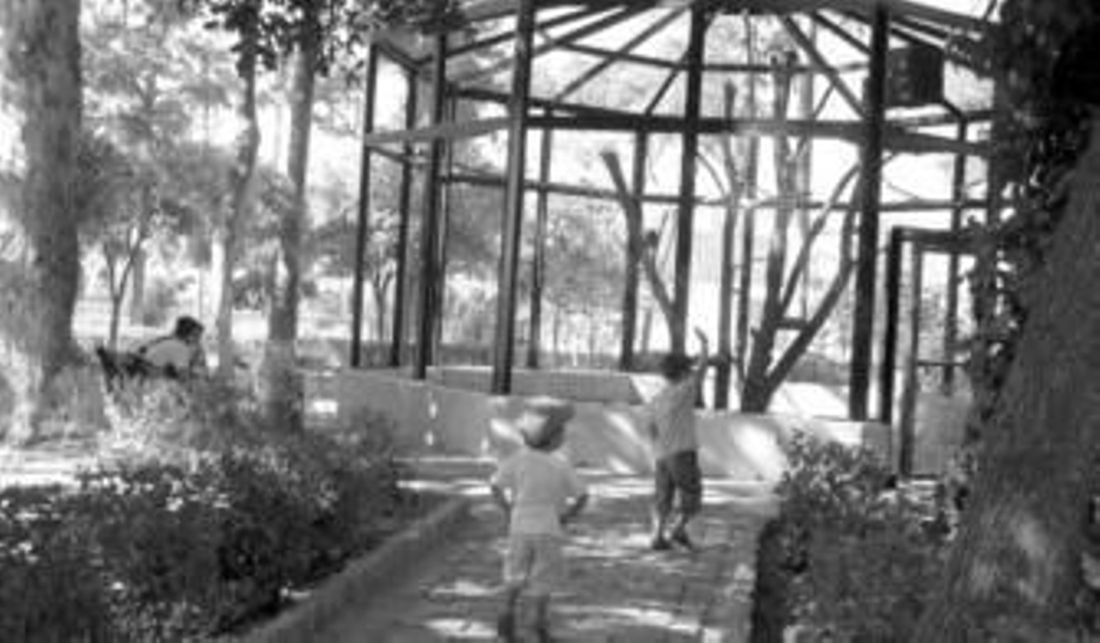 La naturaleza salvaje de Ayamonte