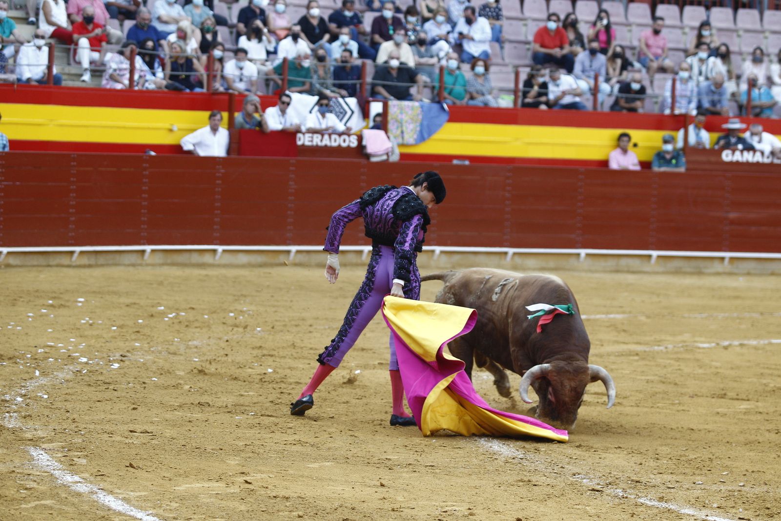 Fotogalería corrida de toros. Cayetano Rivera, Paco Ureña y Roca Rey. Roquetas de Mar.