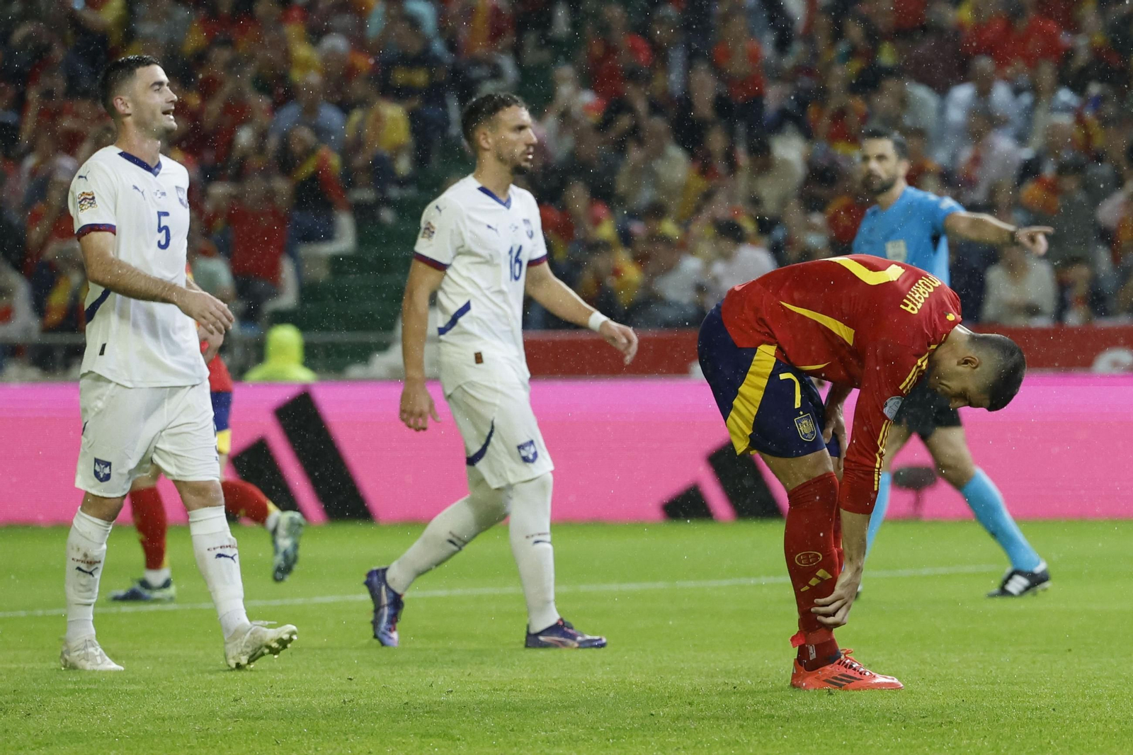 Las fotos del España - Serbia en Córdoba