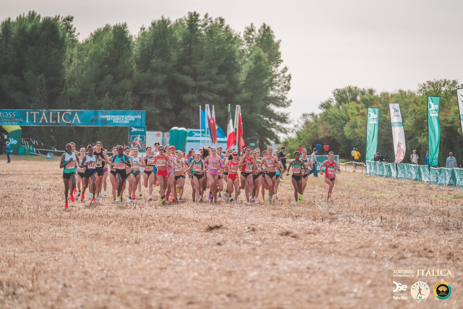 Búscate en las fotos del Cross de Itálica 2025 | 11