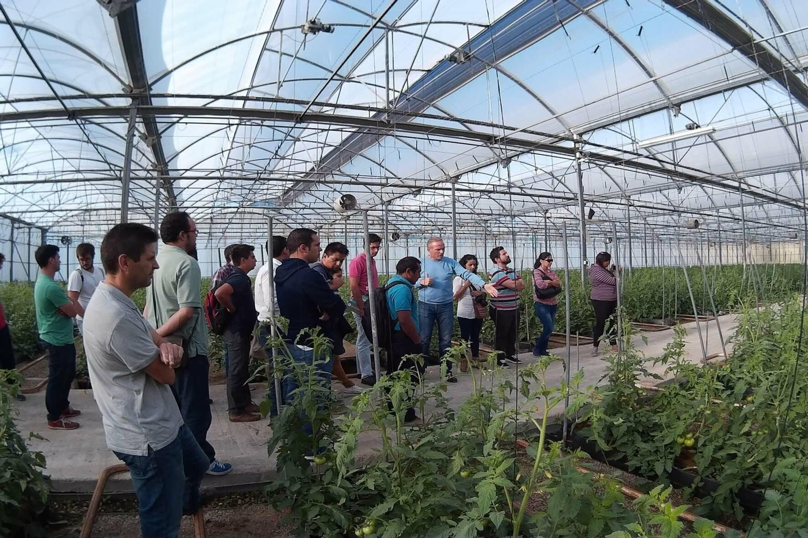 Investigadores del Centro de Investigación en Agrosistemas Intensivos Mediterráneos en un invernadero.