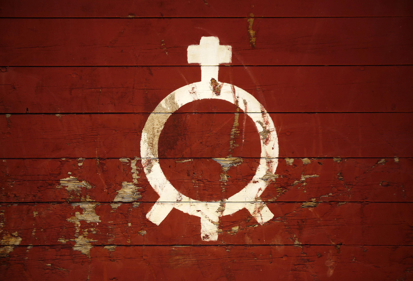 Mas cornadas da el virus, visita a la ganadería de Nuñez La Palmosilla