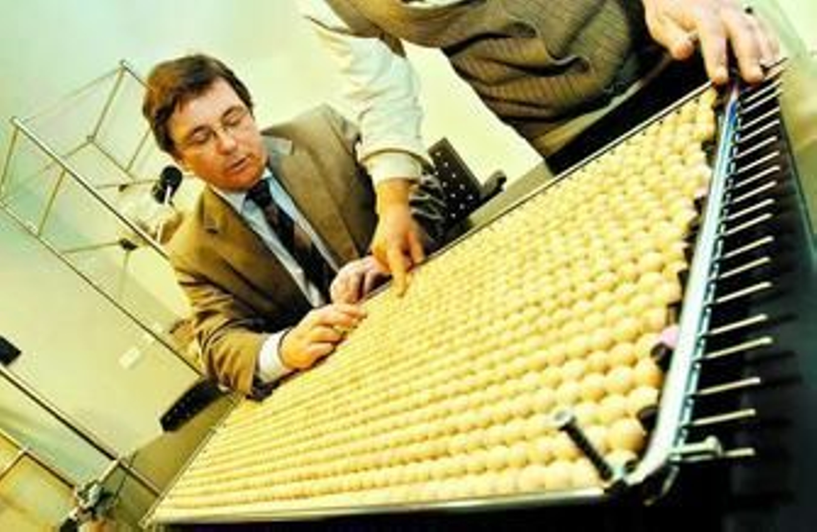 El notario revisa las bolas del último sorteo de la empresa municipal Vimcorsa.