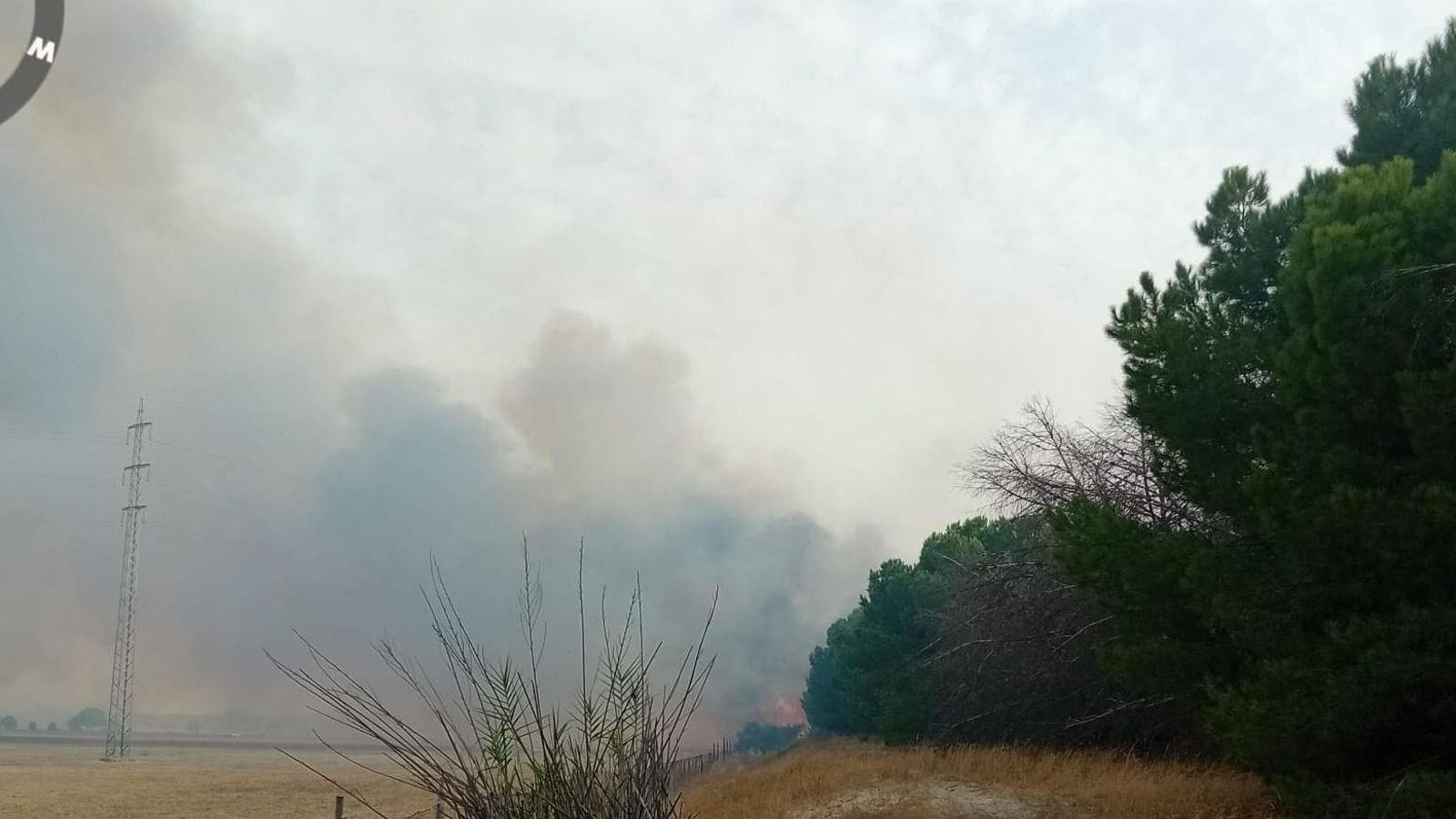 Incendio en el paraje Matalagrana, en el término municipal de Almonte junto a Doñana.