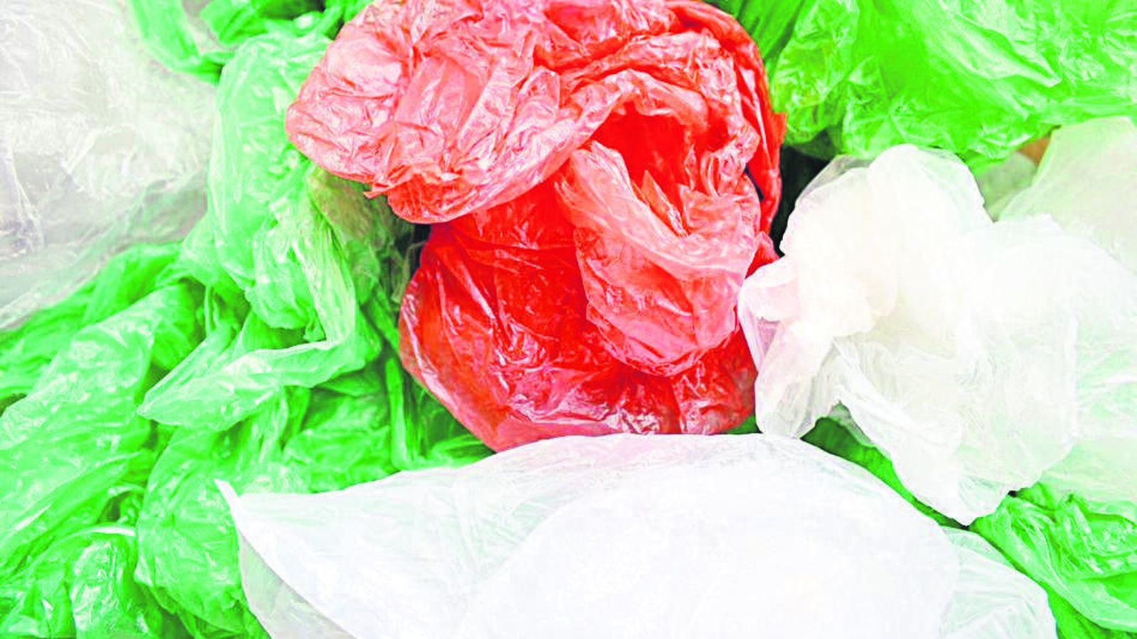 Durante el estudio se evaluó la toxicidad de dichos compuestos con líneas celulares de pez cebra en tres situaciones distintas