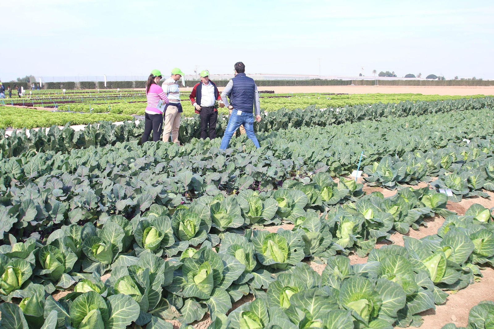 Fotogalería de las jornadas de puertas abiertas de Rijk Zwaan en Cartagena