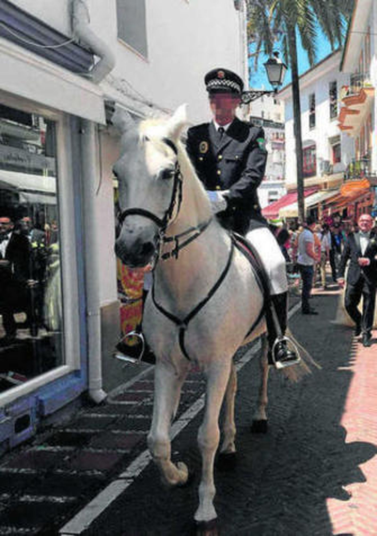 Uno de los caballos que participaron en la boda.