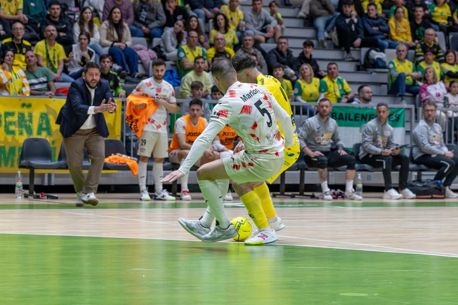 Las mejores fotos del empate entre Jaén Paraíso Interior FS y ElPozo Murcia