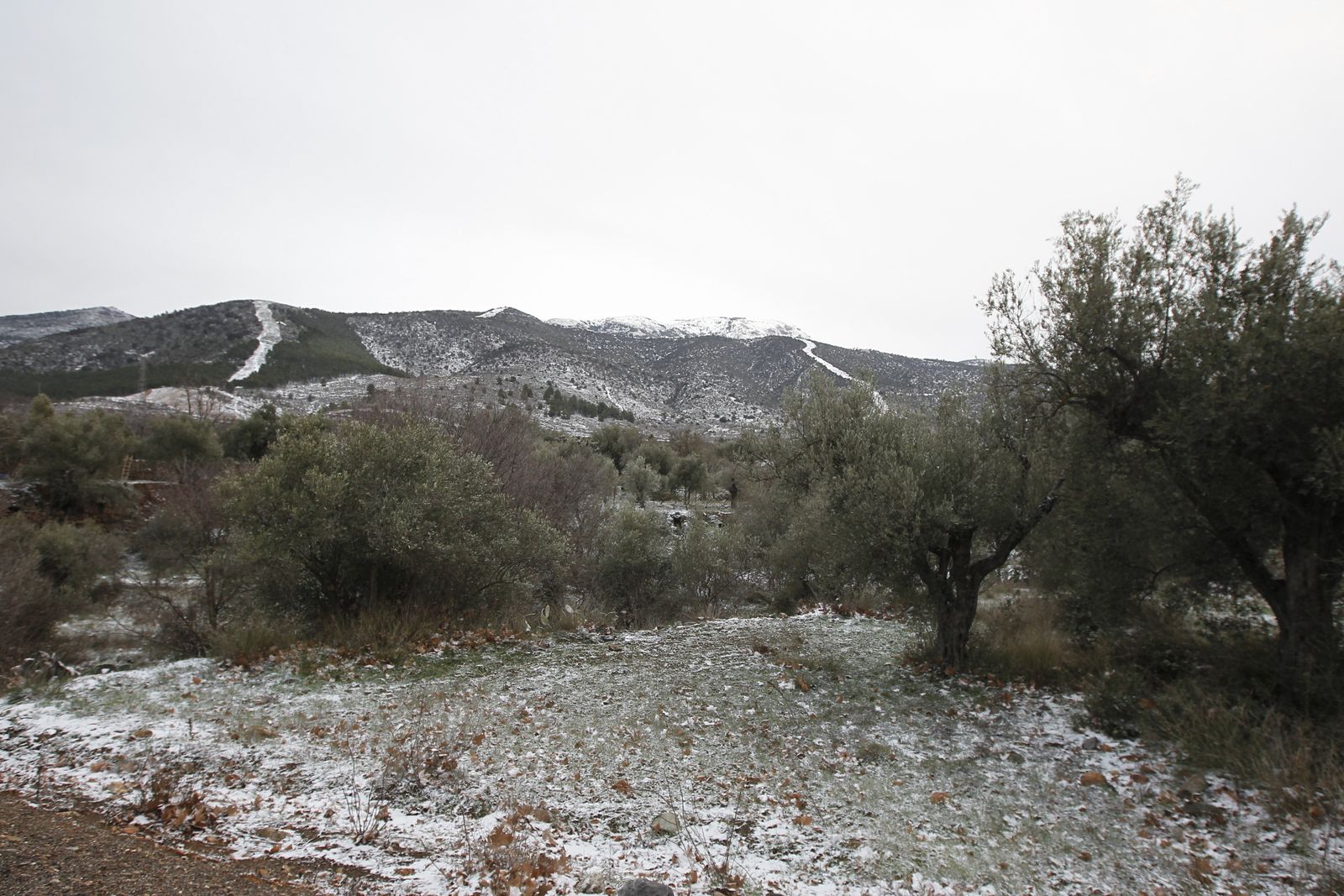 Las imágenes de la ola de frío siberiano