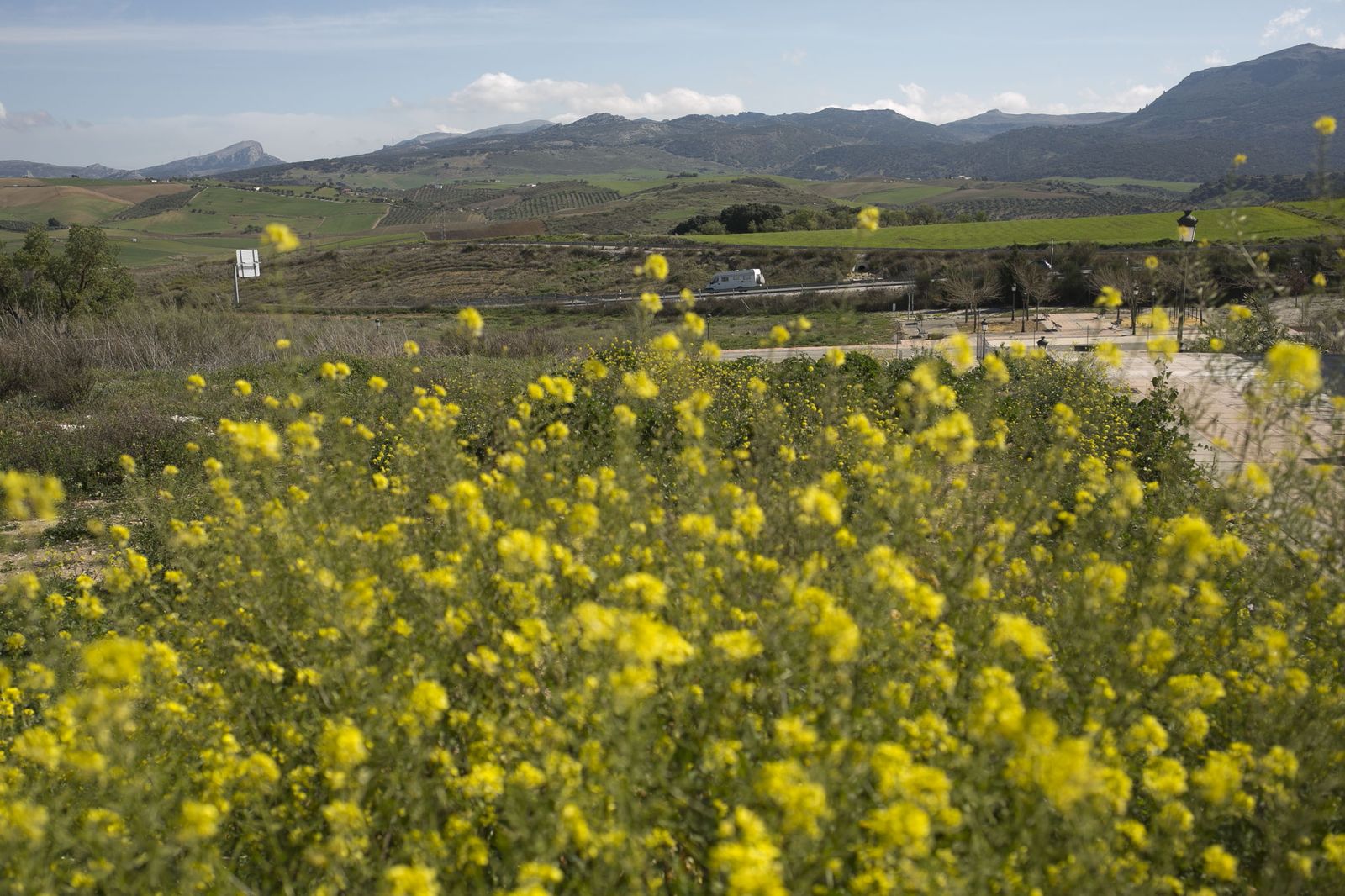 La primavera deja ver su paleta de color