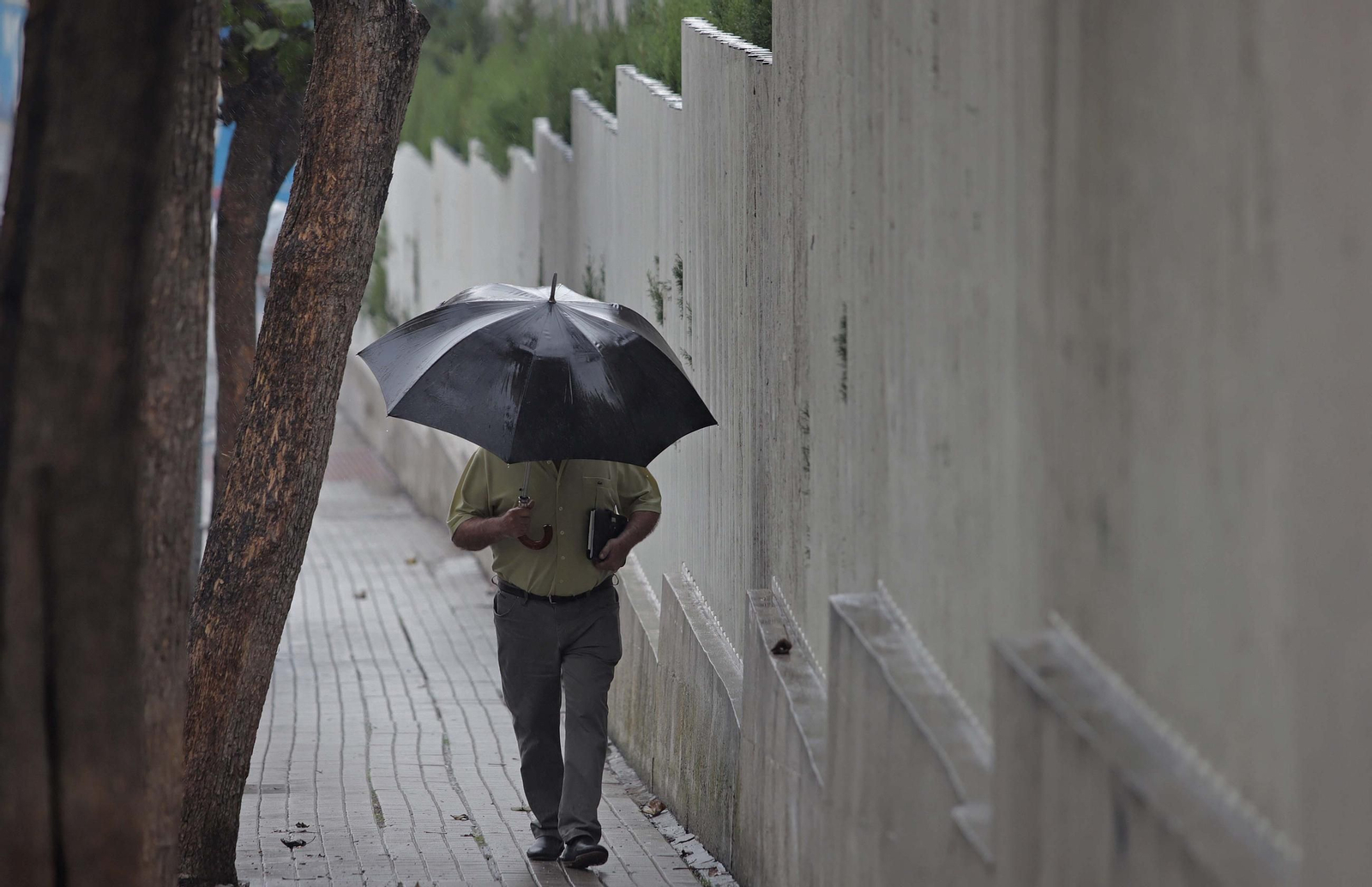 Fotos de la lluvia provocada por la borrasca atlántica en Algeciras