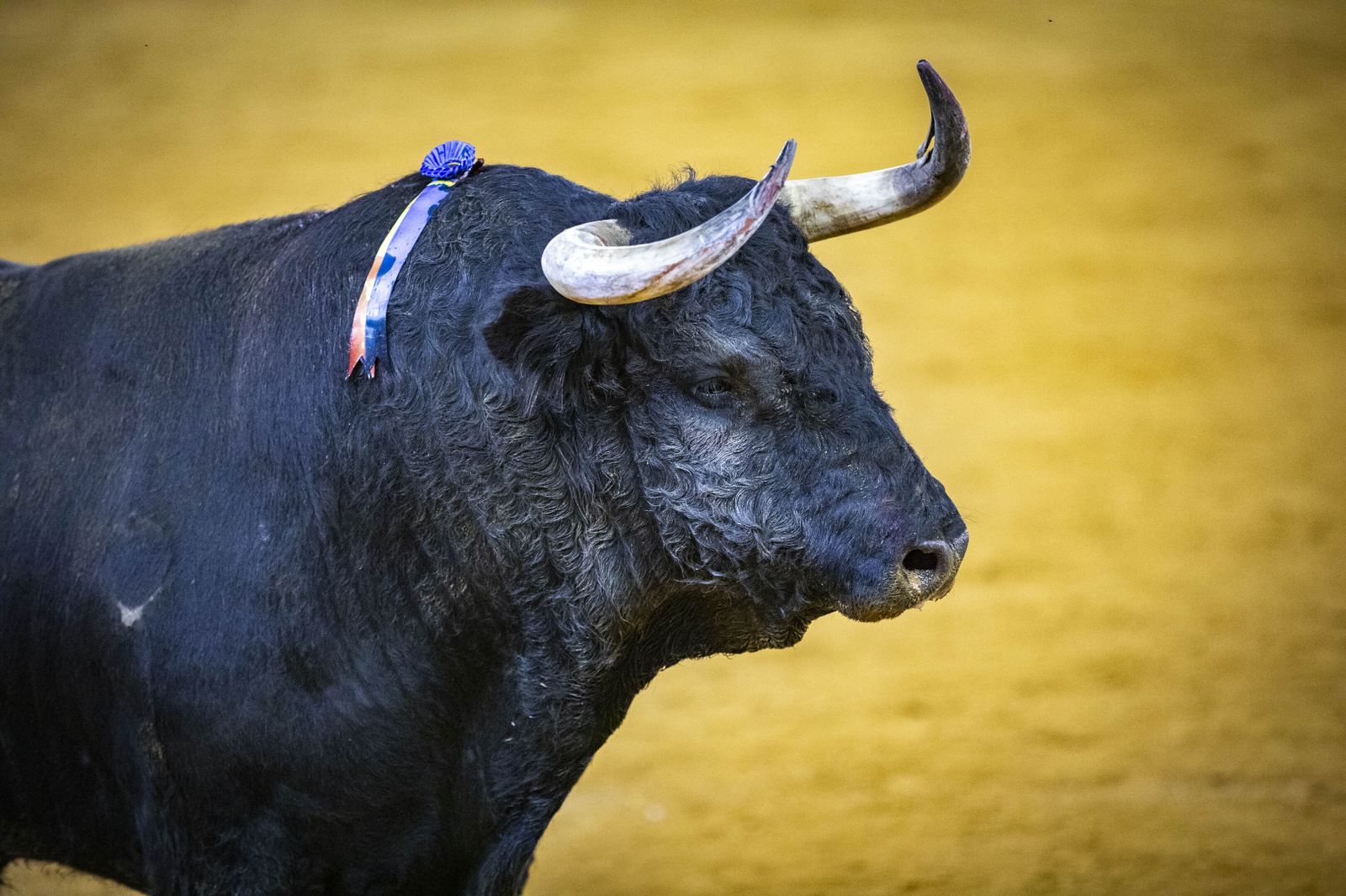 Diego Urdiales, Sebastián Castella y Daniel Luque, en la plaza de toros de El Puerto