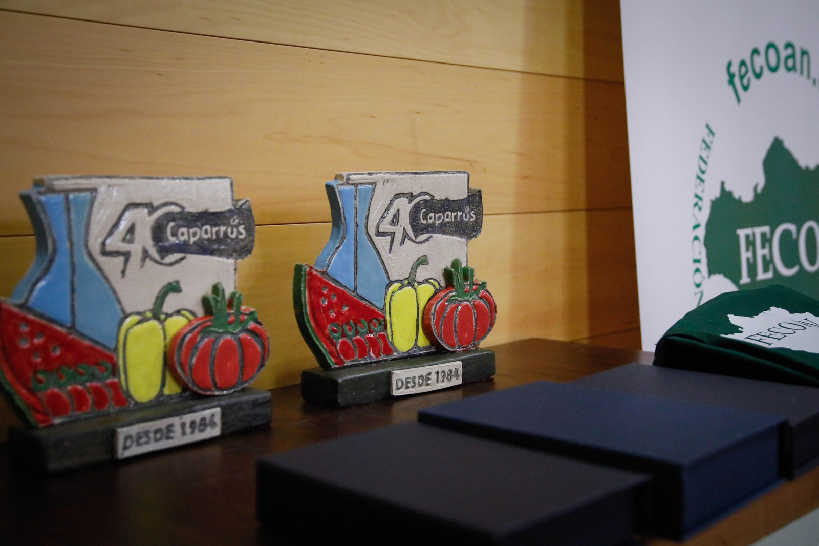 Las mejores imágenes de las conferencias en el congreso gastronómico ofrecido por CAPARROS