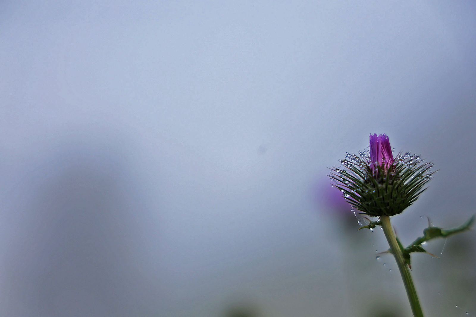 Imágenes de la espesa niebla durante la mañana en Huelva