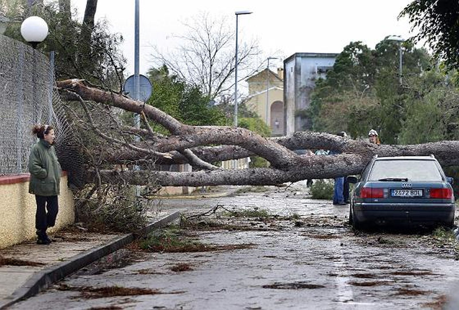 La lluvia y el viento causan múltiples destrozos en varias localidades de la provincia. 

Foto: Fito Carreto