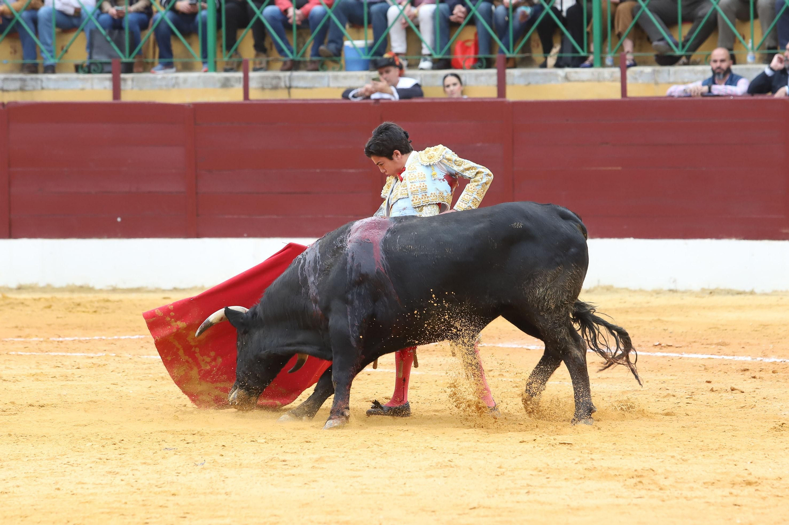 Imágenes de la novillada previa a la Semana Santa en la plaza de toros de La Línea