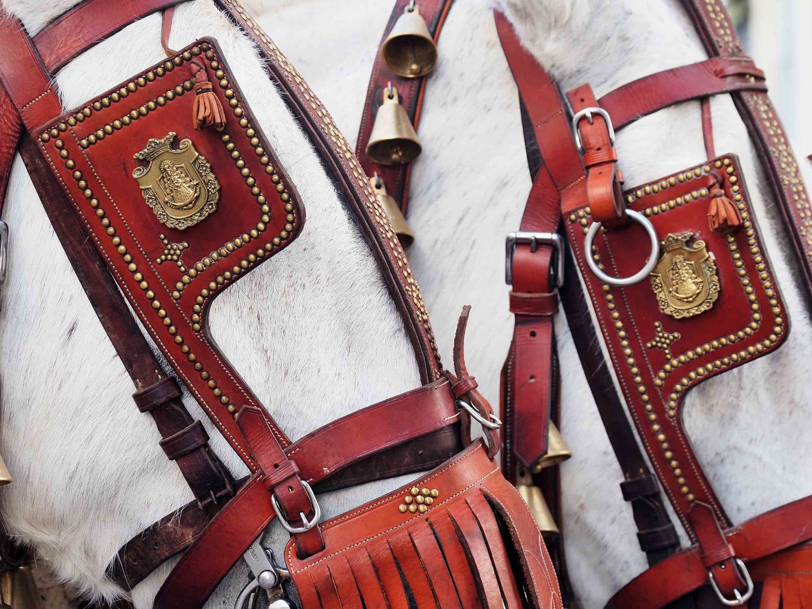 Salida de la Hermandad de Punta Umbría hacia El Rocío.