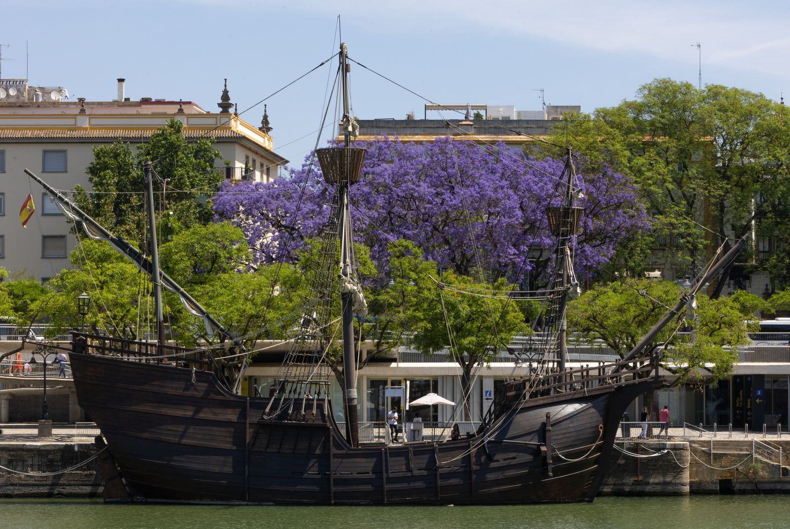 Las jacarandas vuelven a teñir de morado Sevilla